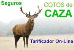 anuncio-coto-250